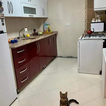 Delight: Cozy Alsancak Apartmán İzmir